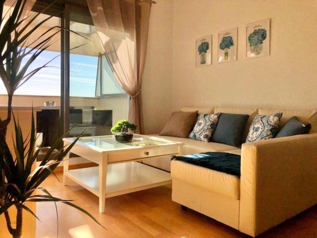 Gatu Premium Atico Parra, Parking, Piscina Comun, Terraza, Wifi , " Preferente Mayores De 25 Anos Y Familias " El Puerto de Santa María Exterior foto